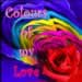 CD Design